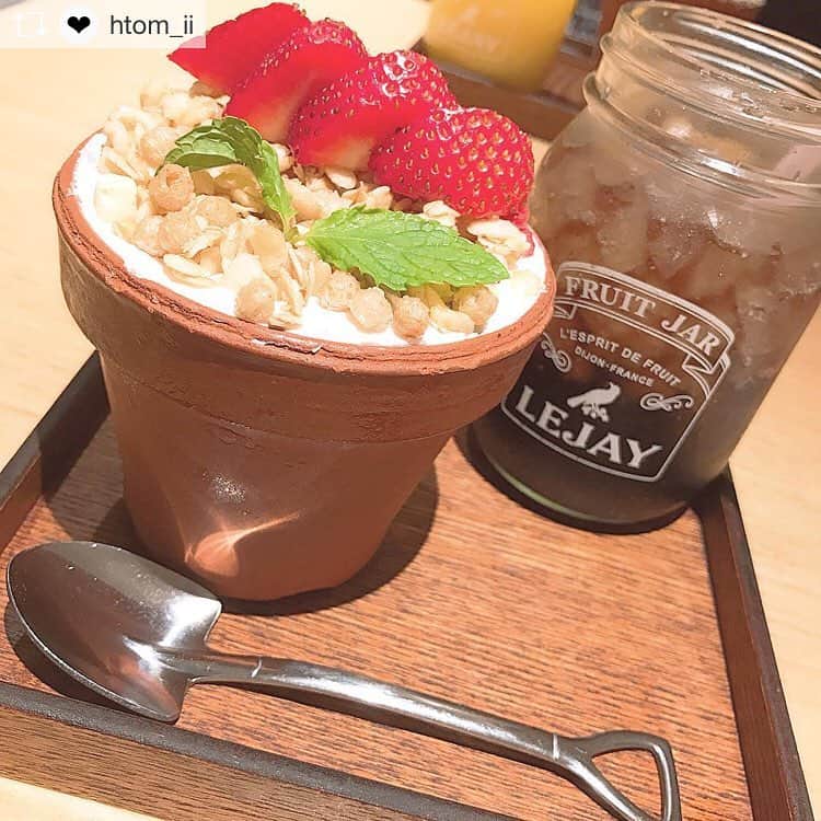 ハレノヒのグルメインスタ