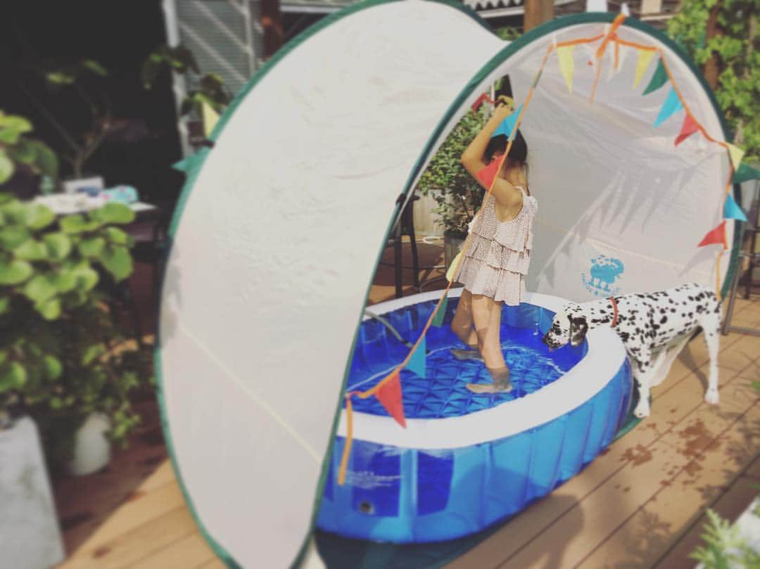 高岡早紀 さんのインスタグラム写真 - (高岡早紀 Instagram)「プール開き。 まずは小ちゃいプールから。。 #娘 #dalmatian」6月22日 16時02分 - saki_takaoka
