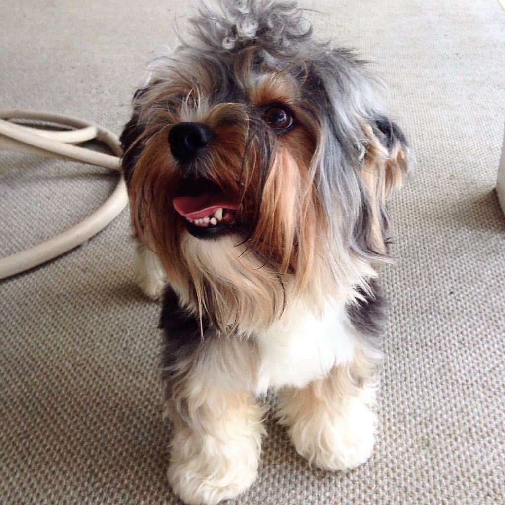 FattieButters®のインスタグラム