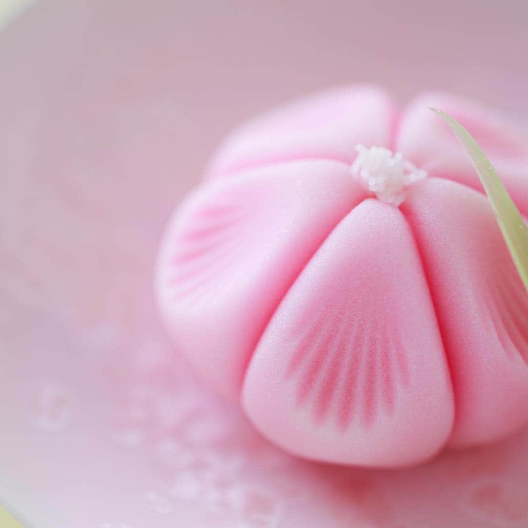 Toru Tsuchieのグルメインスタ