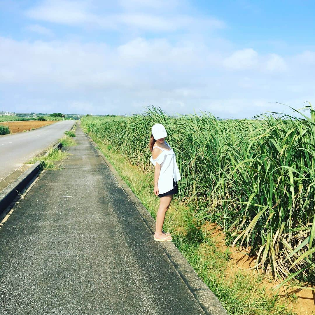 一色亜莉沙さんのインスタグラム写真 - (一色亜莉沙Instagram)「最後の写真は奇跡。4枚目見て。幸せ宮古島  #miyakojima #okinawa #さとうきび #ドライブ  #f4f #followme #followalways #l4l #like4like #tagsforlikes #tflers #nail #gal #shibuya #japanesegirl #japan #anime #cosplayer  #idol #instagood #いいね」6月23日 2時29分 - arisa_isshiki