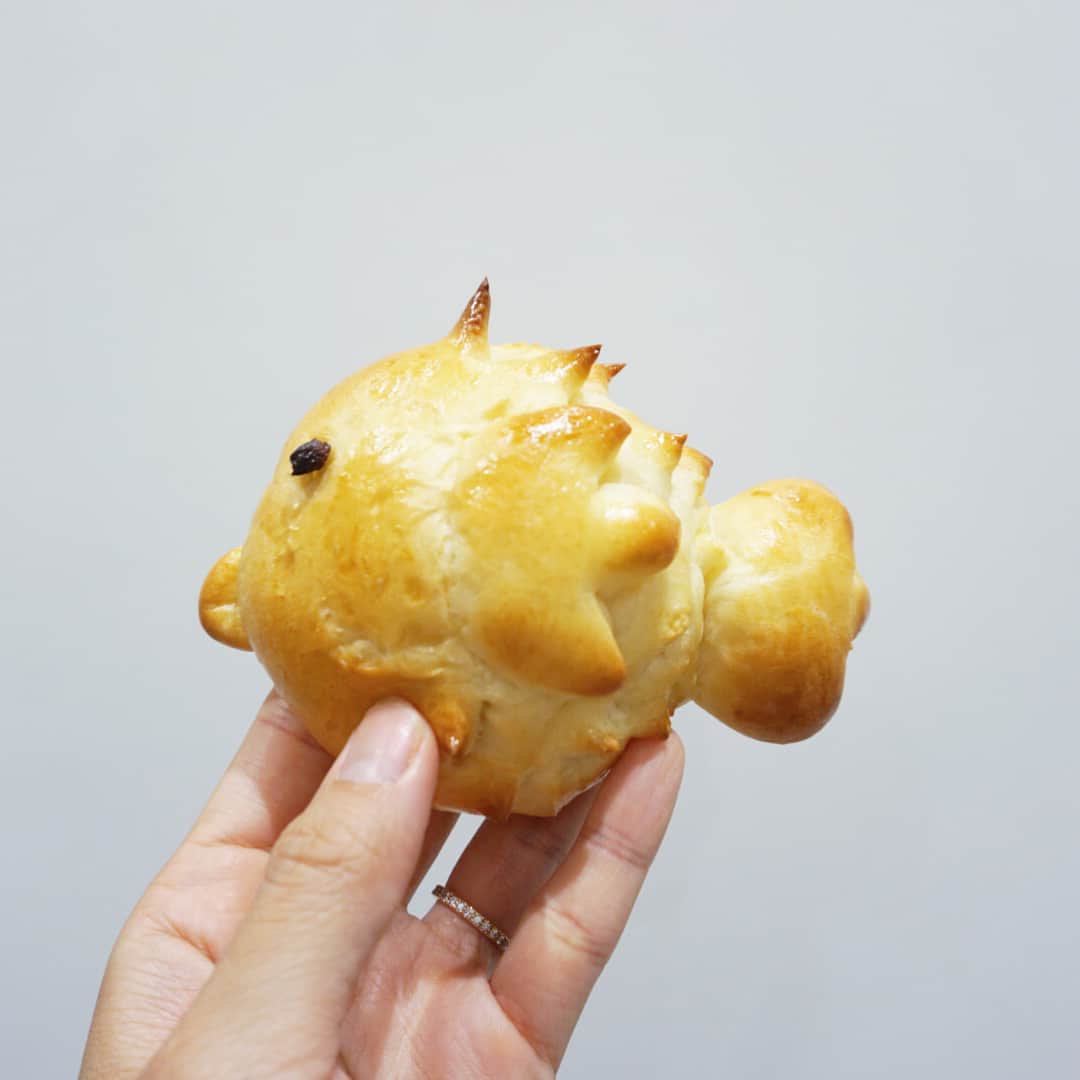 筧沙奈恵さんのインスタグラム写真 - (筧沙奈恵Instagram)「料理のお手伝いが大好きな娘👧ドレッシングを混ぜたり、ホットケーキをひっくり返したり、洗い物をしてくれたり・・・ ・ 小さい時は混ぜてもらってもこぼしてしまったり、ひっくり返そうとしても崩れてしまったりと、私1人の方がはかどるなーと思うこともありましたが、最近は本当に戦力になってくれて助かっています✨ ・ お料理をもっと一緒に楽しみたいなと思い、昨日は仲良しの 悠美ちゃん @maruyumi 親子とパン教室に行ってきました！ ・ せっかく習うなら、安心・安全にこだわったところがいいので、シュガーレディ @sugarlady_official テイスティングテーブルへ♪ ・ 二子玉川駅から徒歩３分。おしゃれで落ち着いた店内でした！ ・ パン教室は未就学児OKの日とそうでない日が分かれているので、気兼ねなく子連れで参加できてありがたかったです✨ ・ ハリセンボンやタコさん、エビまん、ドーナツなどを作りました！どれもすごーく美味しくて、あっという間に2人でペロリ❤️ ・ 作り方を丁寧に教えてくださったので、おうちでも再現できそうです🥐 ・ 娘は「今度はイルカのパンが作りたいなー！ハートのパンもいいなー！」と作りたいものが色々あるみたいなので、今度おうちでも一緒にパンを作ってみようと思います♪ ・ 7・8月はリスやヒマワリのパンを作るそうなので、また行きたいな😊 ・ カフェスペースは子連れのお客さんでいっぱいでした✨子連れウェルカムな雰囲気で、居心地よさそうだったので、ランチで行ってみよう👶 ・ #シュガーレディ #sugarlady #TASTINGTABLE #安心安全 #シュガーレディテイスティングテーブル #冷凍食品 #料理教室 #二子玉川」6月24日 14時12分 - sanaekakei