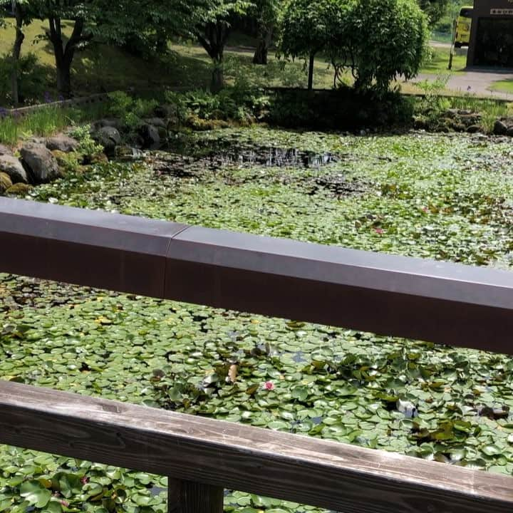 浜田雅功の旅日記のインスタグラム