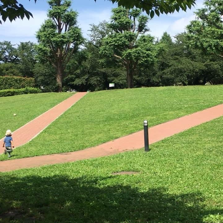 イズミカワソラのインスタグラム：「ちょうちょを追いかけるw ・ ・ ・ そして見失うwwww」