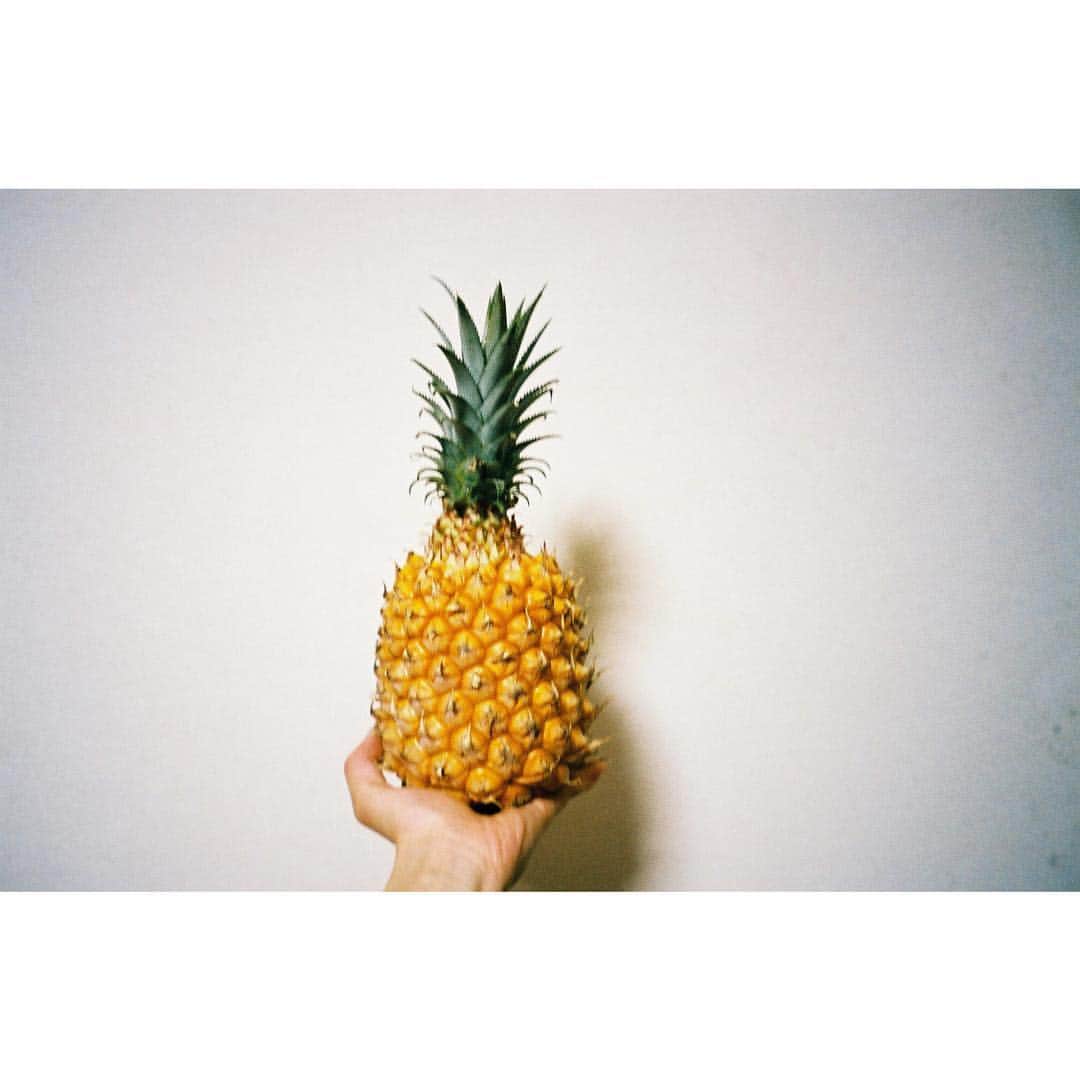 芳根京子さんのインスタグラム写真 - (芳根京子Instagram)「フィルムの写真がまた溜まっています。 そしてここで満を持して登場(？) スナックパイン。で 唇を切る。 でも食べる。  #film #欲には敵わない」6月24日 17時50分 - yoshinekyoko