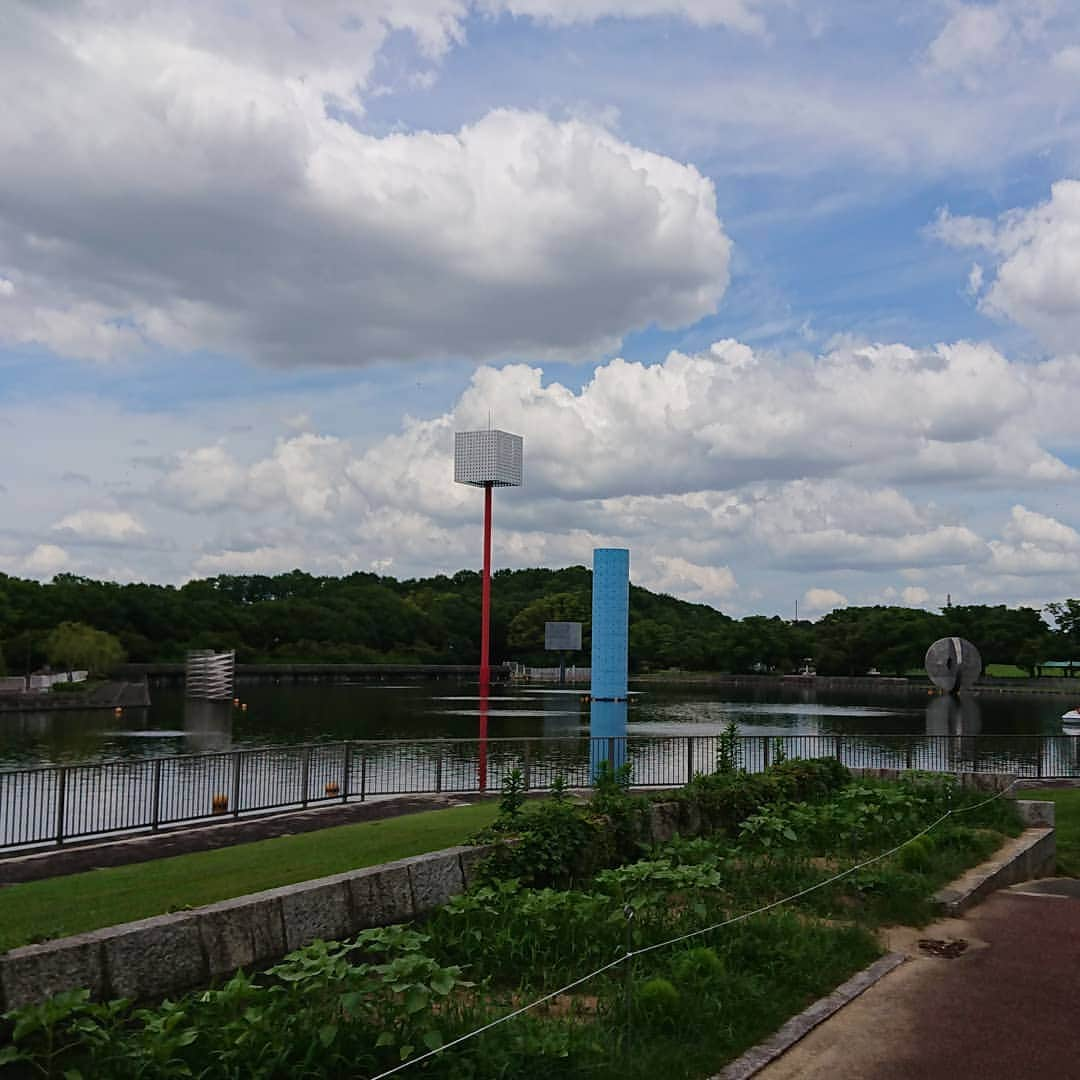 佐藤大さんのインスタグラム写真 - (佐藤大Instagram)「公園内にある池に妙に親近感を覚える。この景色…そうだ！！ボートレース場だ！なんか見覚えがあると思ったよ。 #万博記念公園」7月9日 13時22分 - satodaidaidai