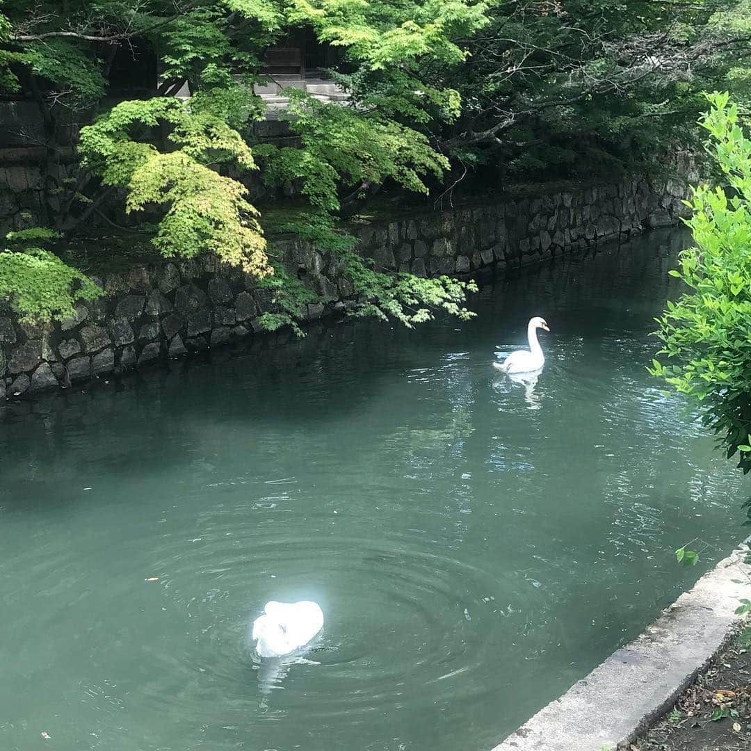 鷲見玲奈さんのインスタグラム写真 - (鷲見玲奈Instagram)「. この度大雨で被害に遭われました方々に心よりお見舞い申し上げます。 一日も早い復旧、復興をお祈り致します。 どうか穏やかな日常が戻りますように。」7月9日 14時09分 - sumi__reina