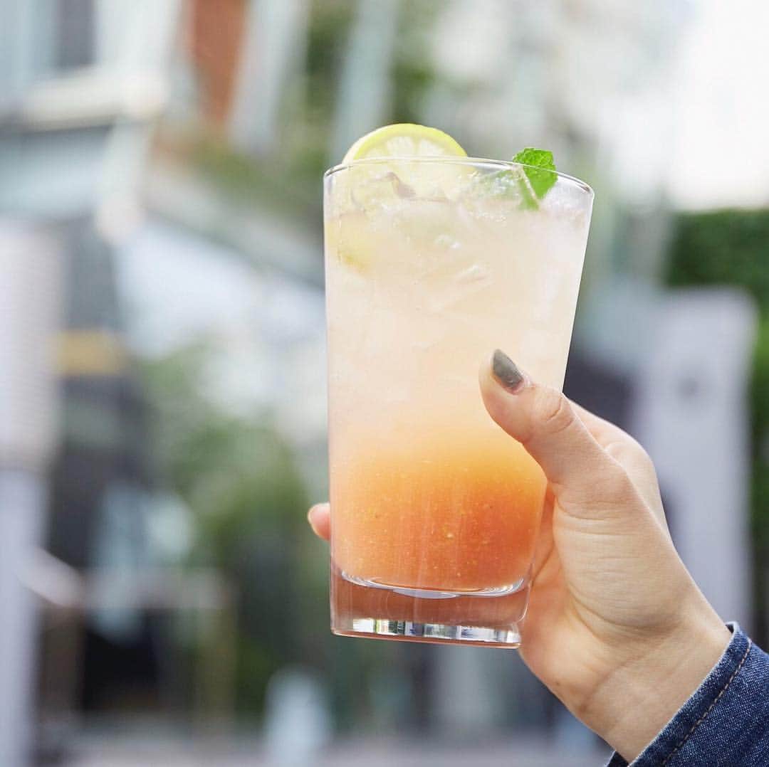 ルミネ公式のインスタグラム：「MONDAY LEMONADE!  毎週月曜日はレモネードの日！ 毎週月曜日はピッツァ1枚お買い上げでレモネード1杯プレゼント！暑い日が続いています！そんな時は800°DEGREESのピッツァでパワーチャージを！・ ※店舗オープンから17時まで実施中！ #800degrees #800degreespizza #pizza #ピザ #レモネード #newoman #新宿 #南青山」