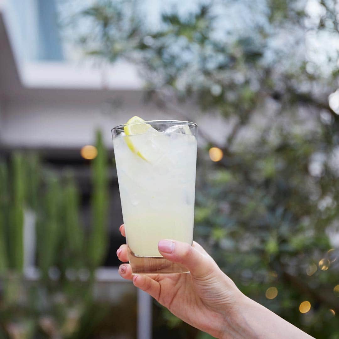 ルミネ公式のインスタグラム：「MONDAY LEMONADE!  毎週月曜日はレモネードの日！ 毎週月曜日はピッツァ1枚お買い上げでレモネード1杯プレゼント！月曜日はみんなでピッツァランチを！・ ※店舗オープンから17時まで実施中！ #800degrees #800degreespizza #pizza #ピザ #レモネード #newoman #新宿 #南青山」