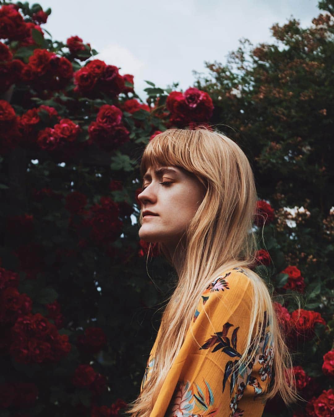 Annette Pehrssonのインスタグラム：「🥀」
