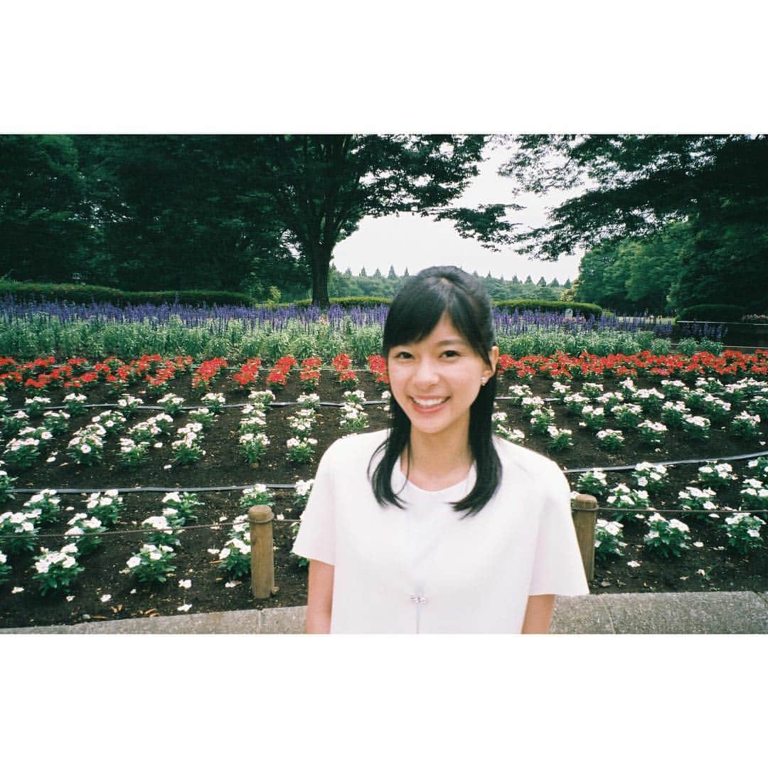 芳根京子さんのインスタグラム写真 - (芳根京子Instagram)「「高嶺の花」のHPが 本格始動だそうです☺︎ 是非、チェックしてみてくださいね。  https://t.co/CZhcXAkoIe  #film #高嶺の花」6月25日 16時55分 - yoshinekyoko