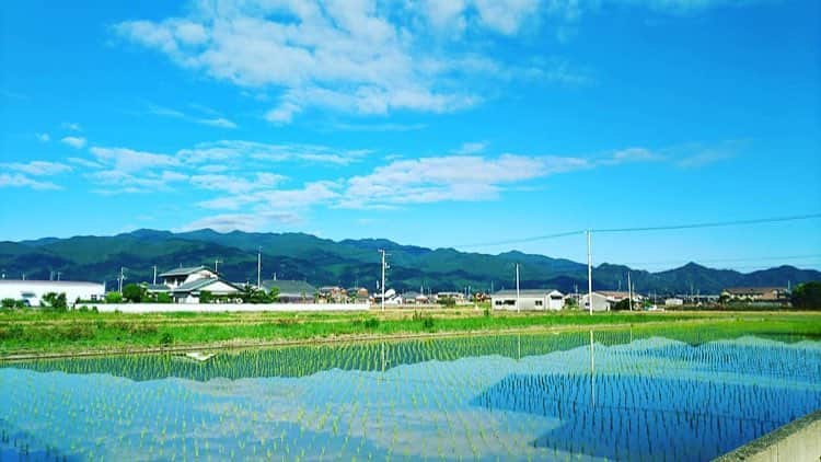 のインスタグラム：「Repost from @yome89hiroshi @TopRankRepost #TopRankRepost 久しぶりに快晴☀️ 気分も上々、プールで楽しんでおいで!  #空 #sky  #青空 #bluesky  #快晴 #clearweather  #雲 #cloud #田んぼ #ricefield  #水田 #paddyfield  #山 #mountain  #新緑 #freshgreen  #おはよう日本 #goodmorningjapan  #スマホカメラ #smartphonecamera  #lovesaijo ・ ・ ・ 梅雨の快晴 6/13は久しぶりにいい天気に恵まれました。 田植えしたての田んぼに、空の青が映えて最高✨ ・ 今は緑のじゅうたんが広がっとるね☺️ ・」