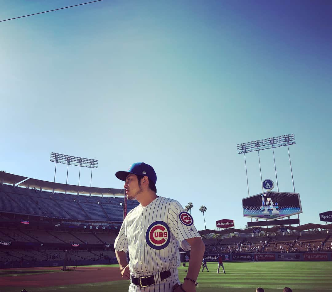 アキテリヤキさんのインスタグラム写真 - (アキテリヤキInstagram)「Minivish at Dodgers stadium  #minivish#dodgers#stadium#chicago#cubs#fans#losangeles#myhome#pitcher#kentamaeda# #ミニビッシュ#ロサンゼルス#ドジャース#球場#思い出の場所#シカゴカブス#前田健太投手」6月27日 11時54分 - minivish11