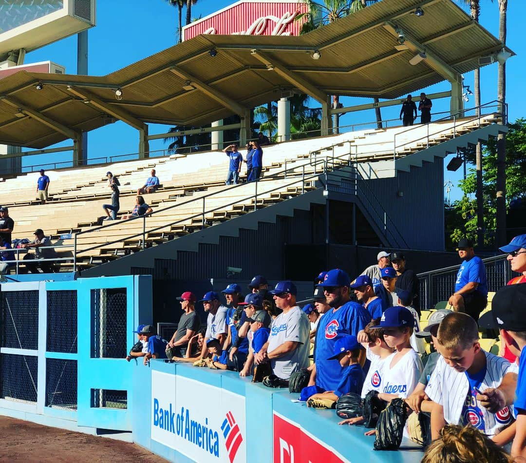 アキテリヤキさんのインスタグラム写真 - (アキテリヤキInstagram)「Minivish at Dodgers stadium  #minivish#dodgers#stadium#chicago#cubs#fans#losangeles#myhome#pitcher#kentamaeda# #ミニビッシュ#ロサンゼルス#ドジャース#球場#思い出の場所#シカゴカブス#前田健太投手」6月27日 11時54分 - minivish11