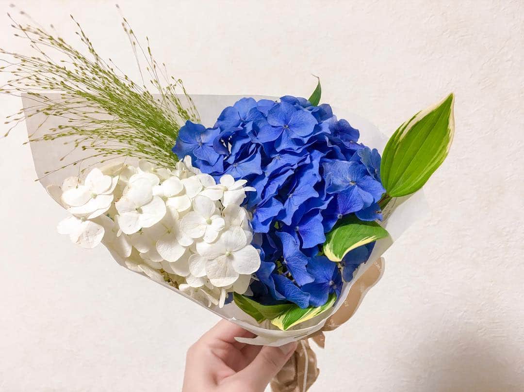 小林麗菜さんのインスタグラム写真 - (小林麗菜Instagram)「💙💙💙💙💙 ・ #紫陽花」6月27日 21時42分 - reina_kobayashi