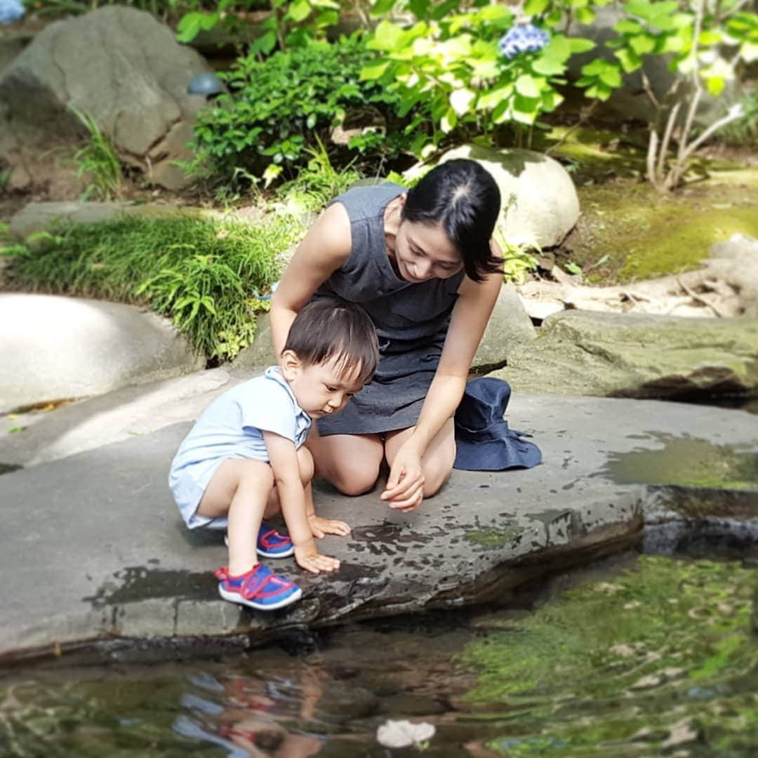 本仮屋リイナさんのインスタグラム写真 - (本仮屋リイナInstagram)「暑くて暑くて、池に入ろうとする息子⛲ 結婚式を挙げた八芳園へお散歩にでかけました☺良いところだなぁ～ 見学に来ているカップルが多くいて、懐かしい気持ちになりました💓  #八芳園 #結婚式 #真夏日 #男の子ママ #主婦 #息子 #梅雨 #池 に飛び込みたくなる #暑さ」6月27日 17時13分 - riina_motokariya