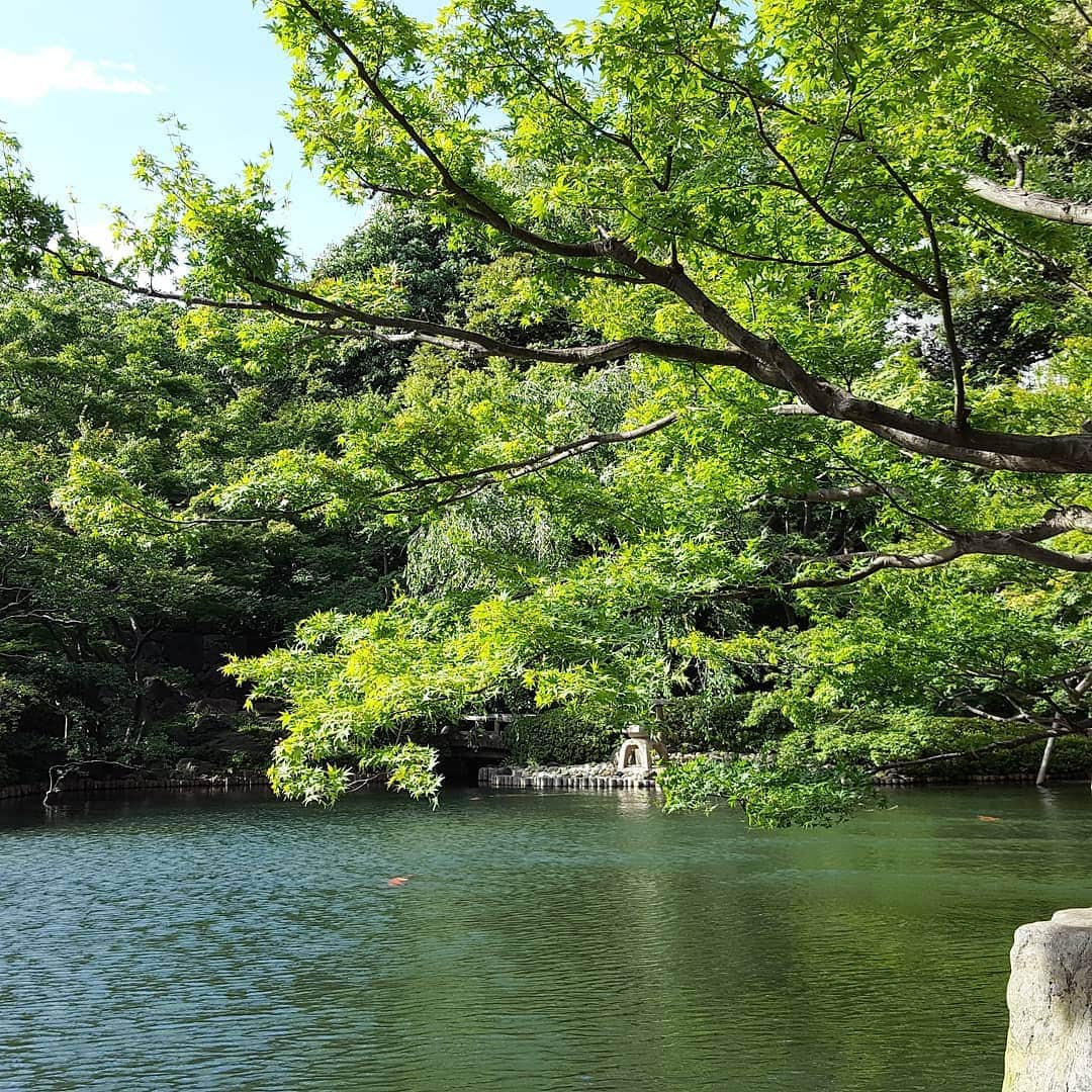 本仮屋リイナさんのインスタグラム写真 - (本仮屋リイナInstagram)「暑くて暑くて、池に入ろうとする息子⛲ 結婚式を挙げた八芳園へお散歩にでかけました☺良いところだなぁ～ 見学に来ているカップルが多くいて、懐かしい気持ちになりました💓  #八芳園 #結婚式 #真夏日 #男の子ママ #主婦 #息子 #梅雨 #池 に飛び込みたくなる #暑さ」6月27日 17時13分 - riina_motokariya