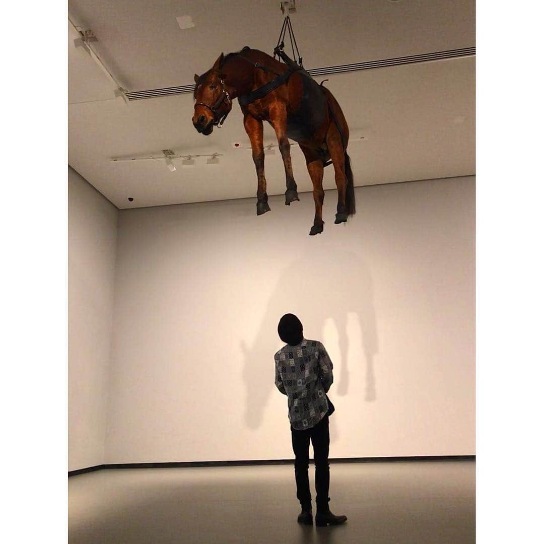 岩田剛典さんのインスタグラム写真 - (岩田剛典Instagram)「imagination🐎🐎🐎」6月27日 20時02分 - takanori_iwata_official