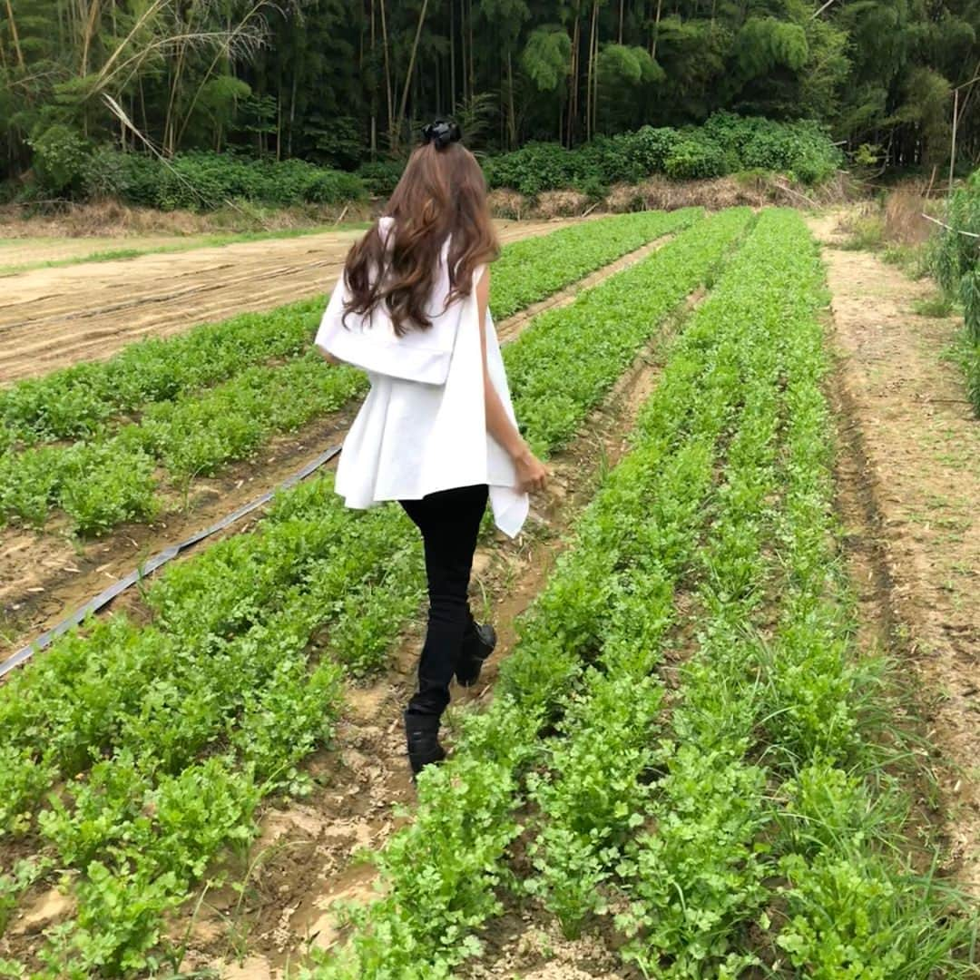 榎本加奈子さんのインスタグラム写真 - (榎本加奈子Instagram)「特別なパクチーで作ったスープカレー、是非一度食べてみてください‼︎ 北海道大通り店は先行発売‼︎仙台の3店舗は7/1から発売です‼︎ #パクチー #好きすぎて #岡山のパクチー農家に行ってきました #岡パク#岡山マイルドパクチー  #普通のパクチーと違う #甘みもあり #食べやすい  #有機栽培 #kanakoのスープカレー屋さん  #新商品 #パクチーグリーンのスープカレー #パクチーはカラダにいいんです  #パクチー料理  #okayama」6月28日 10時36分 - kanako._.enomoto