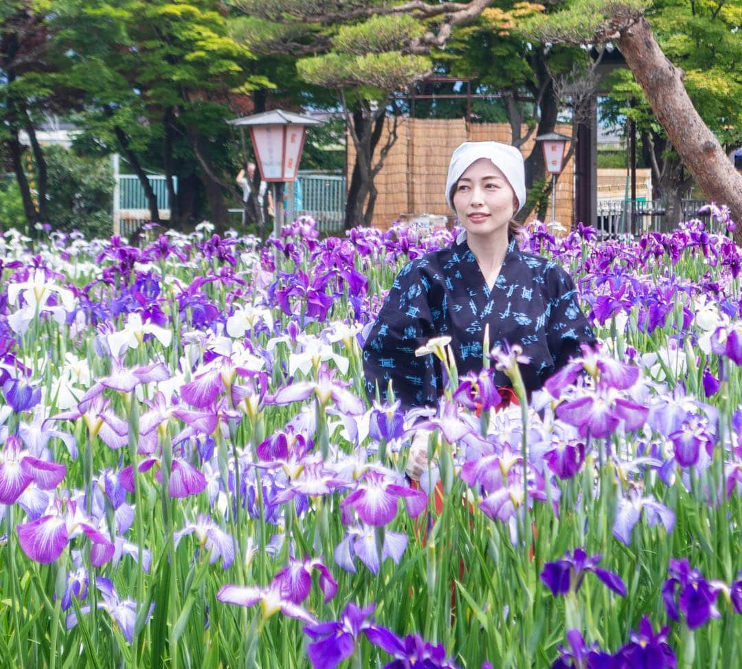 やまがた長井観光局のインスタグラム