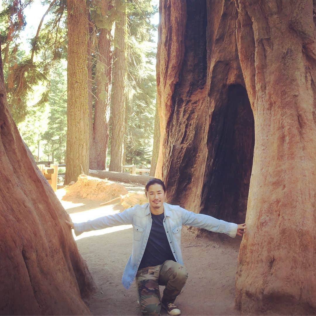 鈴木一真さんのインスタグラム写真 - (鈴木一真Instagram)「こじゃんとでかい/Humongous‼︎ 世界一の巨木/シャーマン将軍🌲 The biggest tree in the world/General Sherman🌏 #Sequoia #KingsCanyon #NationalPark #GiantForest #GiantSequoia #GeneralSherman #GeneralGrant #AutoLog #TunnelLog #FruitStand #セコイア国立公園」6月29日 11時05分 - _kazumasuzuki_