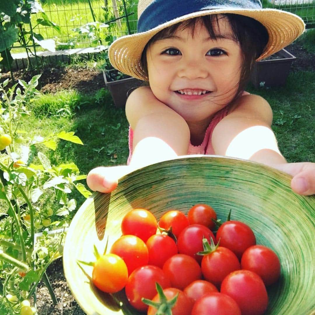 ままのてさんのインスタグラム写真 - (ままのてInstagram)「. . 【お庭でとれたよ🍅】 . .#mamanokoカメラ部 #mamanokoギフトキャンペーン. . . 美味しそうなトマトが沢山☺️❣️ . 嬉しそう顔が可愛い😊♬ . . #たくさんとれました #トマト収穫 . @littlelily0929 様の投稿です 可愛いお写真ありがとうございました💝. . . 【#mamanokoカメラ部】 @mamanote_official をフォローして. . #mamanokoカメラ部 #mamanokoギフトキャンペーン をつけて投稿してください🏠. . ご自慢の可愛いお子さんのお写真を投稿してください👶👧❤️. . ピックアップさせて頂きました月の中で一番「イイネ」の多い方に、アマゾンギフト券3000円分プレゼント！ . たくさんのご参加お待ちしております! コメントをしてくれた方の投稿は、必ずチェックします👌 . . . 他にも. 【mamanoteのギフトキャンペーンに参加♡】. . #mamanokoギフトキャンペーン と合わせて、参加したいオリジナルハッシュタグをつけてご参加下さい☀️ . . (1)お子様のかわいい動画.🎥. #mamanokoムービー . (2)お子様のかわいい写真👶🏻. #mamanokoカメラ部 . . .  @mamanote_official をフォローして、投稿する動画や写真に合ったオリジナルハッシュタグをできるだけ多くつけて、インスタグラムにアップしてみましょう！. . 毎日、担当者が投稿をチェックして、素敵な写真と動画をピックアップして、公式アカウントで紹介します❤️ . そして！！毎月、ハッシュタグごとに、mamanoteがピックアップした写真の中で1番｢いいね｣の多い方に、アマゾンギフト券3000円分プレゼント！当選者にはDMを送らせていただきます♡. . また、動画や写真は、mamanoteのFacebook、またはウェブサイト 「mamanote」内の記事で紹介させていただきます🙌 . mamanote公式インスタグラムはこちら @mamanote_official . . #プレゼント#プレゼント企画#モニター#キャンペーン#ギフト#キッズモデル#ベビーモデル#新米ママ#成長記録#子育て#育児ママカメラ#ママ撮#スマイル育児#こどもと暮らす#女の子ママ  #great_captures_children #mamanoko#ig_kidsphoto #ig_oyabakabu #instababy#baby#kidsgram#photobook#happyfamily」6月29日 11時50分 - mamanote_official