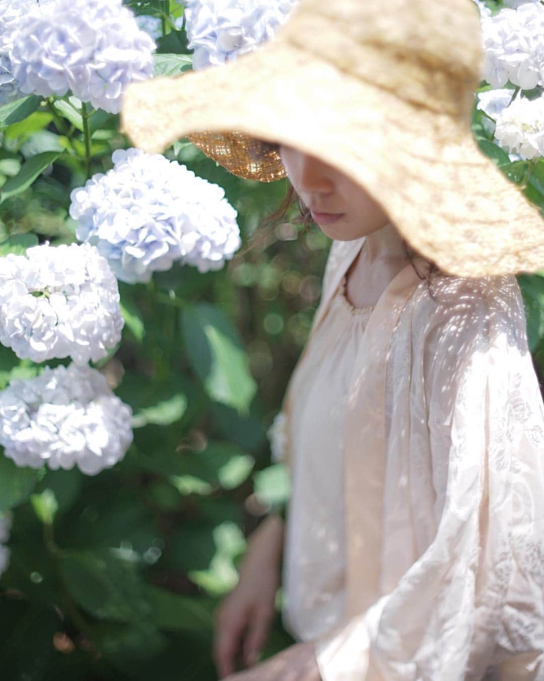 masa_sunのインスタグラム：「💠 . . . . . 紫陽花もスキ #フィルム写真で繋がりたい  #カメラ好きな人と繋がりたい #ファインダー越しの私の世界 #写真好きな人と繋がりたい #写真撮ってる人と繋がりたい #お洒落さんと繋がりたい #土曜日の小旅行 #オールドレンズに恋をした」
