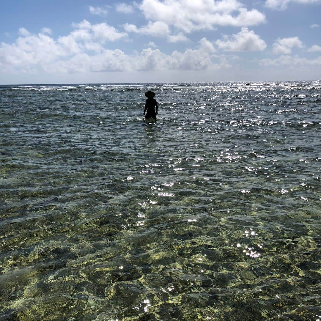 土井善晴のインスタグラム：「#石垣島」