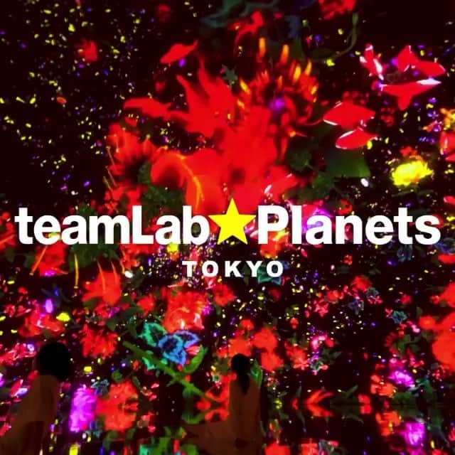 DMM.com公式のインスタグラム：「teamLab Planets TOKYO #teamlabplanets in #toyosu  OPENING July 7th, 18:00! #チームラボプラネッツ  東京・豊洲、7月7日18:00 オープン  Don’t miss this incredible, ultra immersive art space, only in Toyosu, Tokyo! 東京・豊洲にしかない超巨大没入空間をお見逃しなく  Early bird tickets still available! オープン記念チケット販売中  https://planets.teamlab.art  #repost … @teamlab.planets  #art #teamlab #tokyo #japan #digitalart #instagood #instaart #instadaily #exhibition #digitalart #チームラボプラネッツ #チームラボ #夏 #アート #豊洲 #tokyo #japan #」