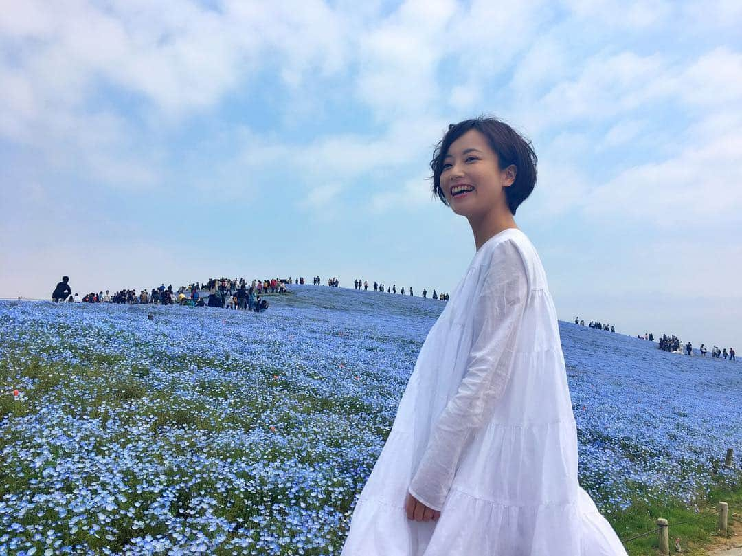 平川彩佳さんのインスタグラム写真 - (平川彩佳Instagram)「. 梅雨明けしましたね‼︎ ただ、ここ数年、 夏に雨やら台風やらが 増えたので、 今年の夏は どうなるのだろう…と、 気温とともに 天気も不安。 . まぁでも、夏休みもあるし、 ワクワク。 . . #梅雨明け #関東甲信地方 #夏が来た #早いなー #もうすぐ #7月 #ネモフィラ #ネモフィラの丘 #ひたち海浜公園 #ひたちなか海浜公園 #青空 #endoftherain #nemophila #hitachiseasidepark」6月29日 18時18分 - hirakawa_ayaka