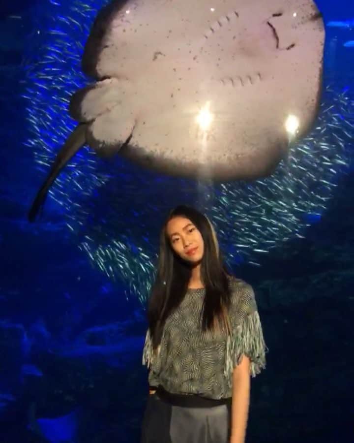 芦田ユリナのインスタグラム：「Today's location 🐟❤️🐠」