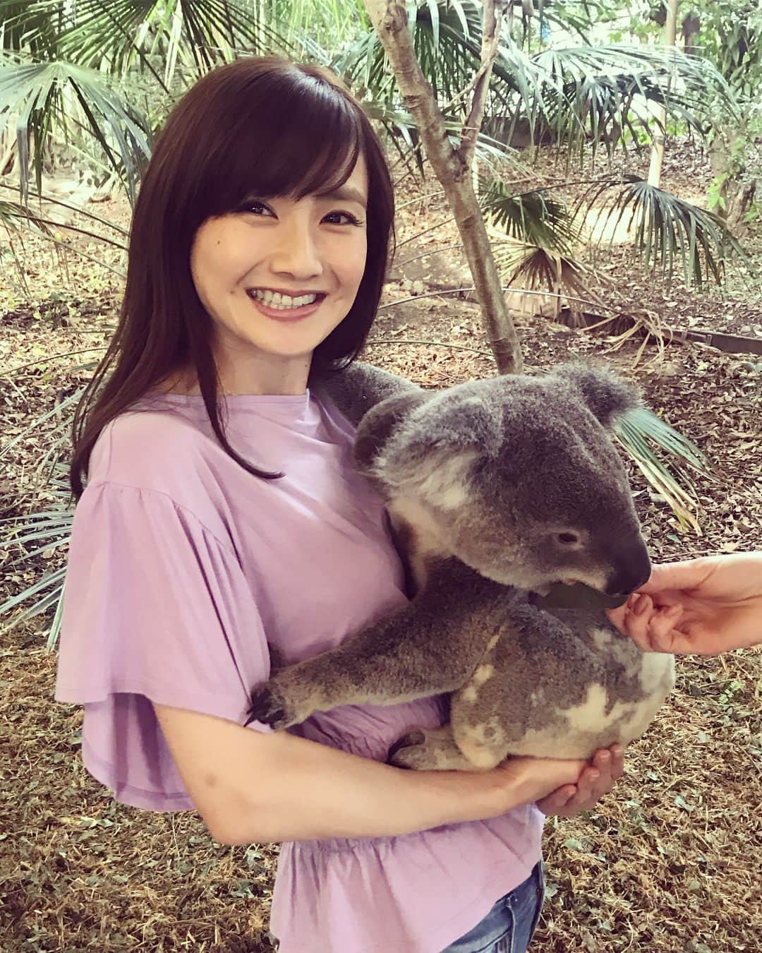 のインスタグラム：「Finally!!!! I held a koala😂🐨 💛 And we’re joining Gold Coat marathon tmr😉 コアラ抱っこ🐨💛 やりたかったことが一つ叶いました😂動物好きな人、ブリスベンに来たら絶対にここはおススメ😍 今月忙しかったけど、元気にがんばれたのはコアラのおかげw そして明日は、お仲間とゴールドコーストマラソン走ってきます😉のんびり楽しんできます😊 持ってきたウエアのコーデがイマイチと言われて着るものがありませんwww ・ #Brisbane #Australia #Kangaroo #🇦🇺 #goldcoast #running #cycling #runner #lonepinekoala #koala #cute #smellsbad #goldcoastmarathon #goldcoastmarathon2018 #gcm #gcm18 #ブリスベン #オーストラリア #旅 #旅ラン #マラソン #コアラ #ゴールドコースト #ゴールドコーストマラソン #ゴールドコーストマラソン2018」
