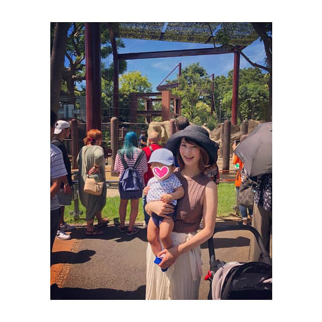 のインスタグラム：「明日、8ヶ月を迎える記念に、 動物園デビュー🦁🦓🐘 暑かったー💦😂 早めに退散。 息子のお気に入りはぞうさんでもきりんさんでもなく、まさかのアリクイ。 #動物園デビュー #zooday #ゴリラの赤ちゃん可愛かった #手作り弁当持参 #ママは動物よりカキ氷 #babyboy #生後7ヶ月」