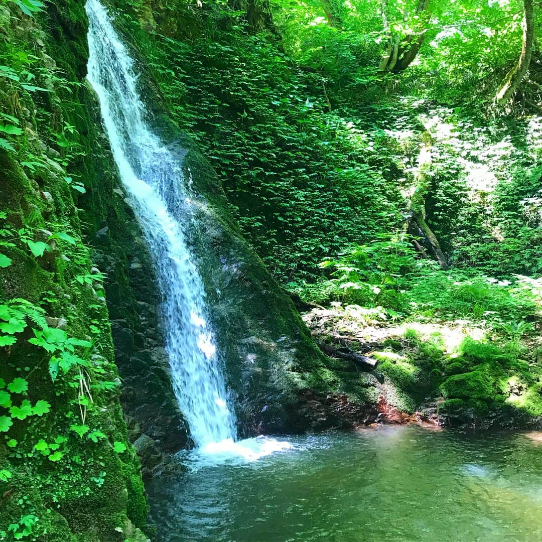 hinacoのインスタグラム：「地元のお姉さまお兄さま方と、大山祇神社の御本社へ。いい空気を浴びて元気いっぱい🌿 #西会津 #大山まつり #大山祇神社 #おおやまずみじんじゃ #3時間かけて往復8kmの山道を歩いたり走ったり #来年も楽しみ」