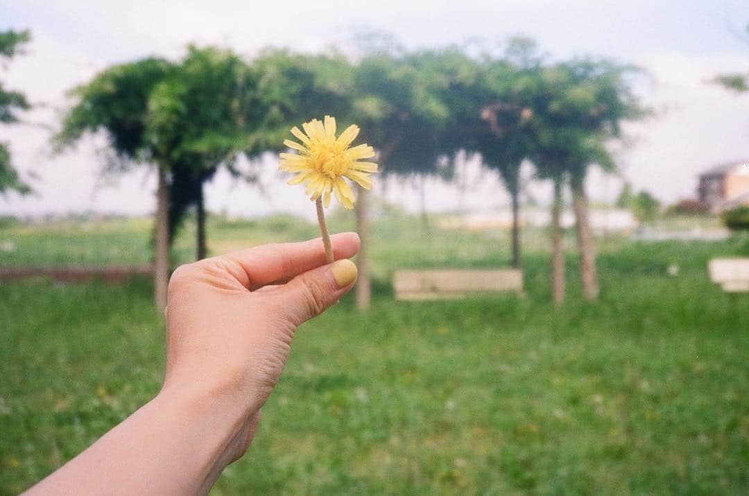 花盛友里のインスタグラム