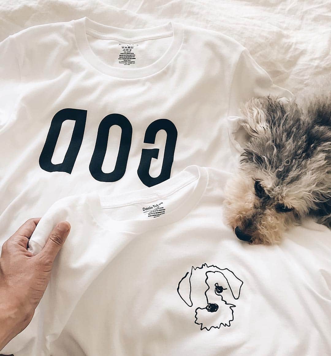 三浦大地さんのインスタグラム写真 - (三浦大地Instagram)「ペット殺処分ゼロ目指して自分にも何かできないか考え、ダンロに協力してもらいチャリティレーベルDanlo Tokyoを作りました。  まずはユニセックスTシャツ2デザイン出します！  僕が一筆書きで描いた愛犬ダンロの絵を胸元に刺繍にしたものと、犬も人と同じ神の子という意味を込めたロゴデザイン。  サンプルが仕上がってきて僕もダンロも気に入ってます(^^) 7月2週目ぐらいから @josiesrunway のWEB STORE内で発売予定です。  そしてこちらの売上金の100%を @christelvieensemblefoundation  寄付します。  また詳細が決まったらお知らせします。  #danlotokyo #danlo」7月1日 19時20分 - daichi_1127