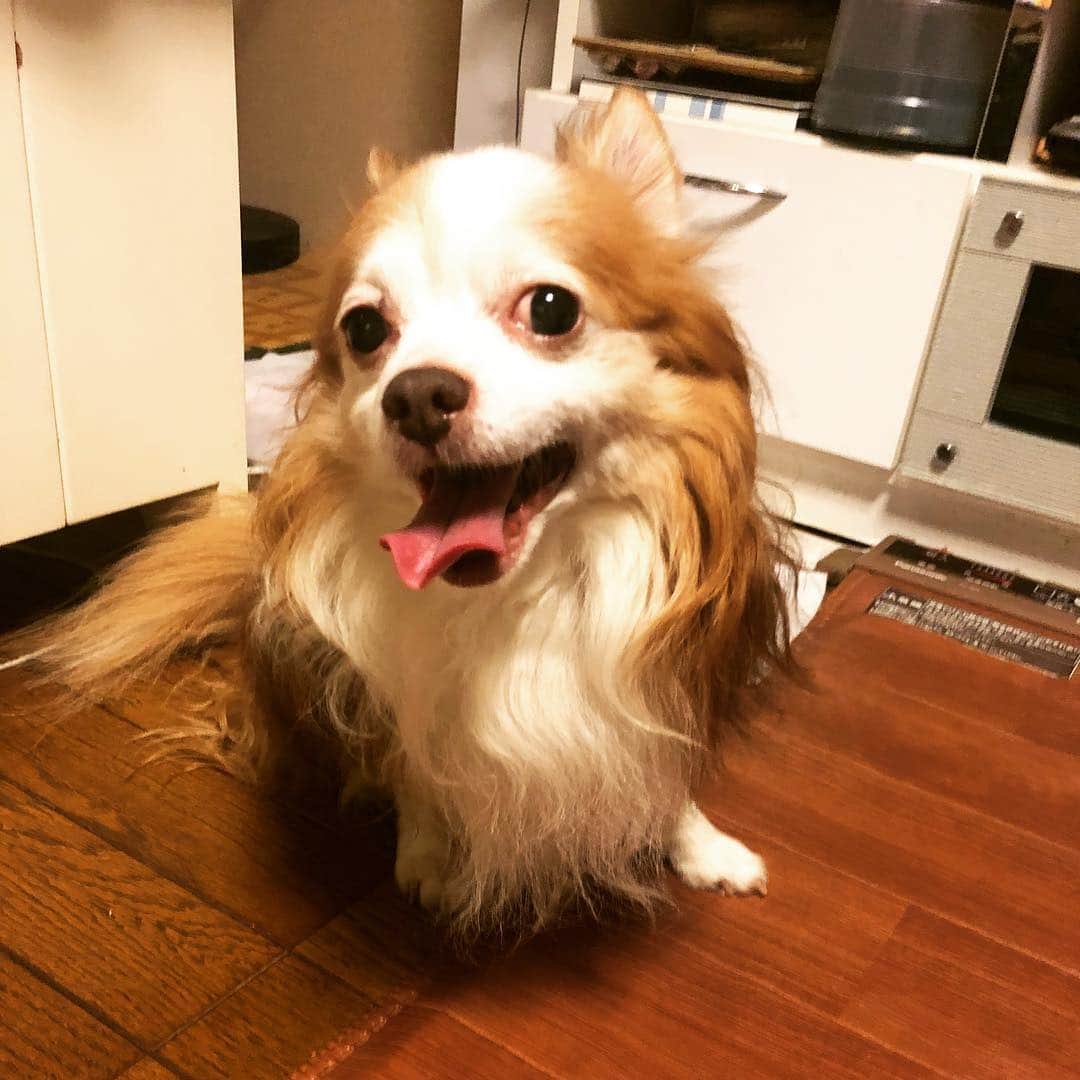 小裏奈美のインスタグラム