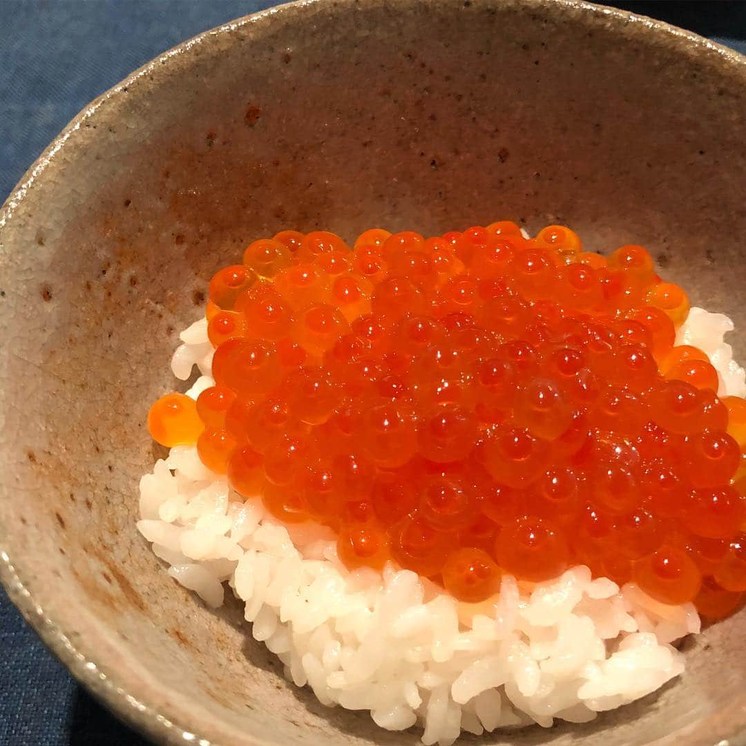 前澤友作さんのインスタグラム写真 - (前澤友作Instagram)「@hiragane_masando さんの井戸茶碗でいくら飯をいただく。」7月1日 12時38分 - yusaku2020