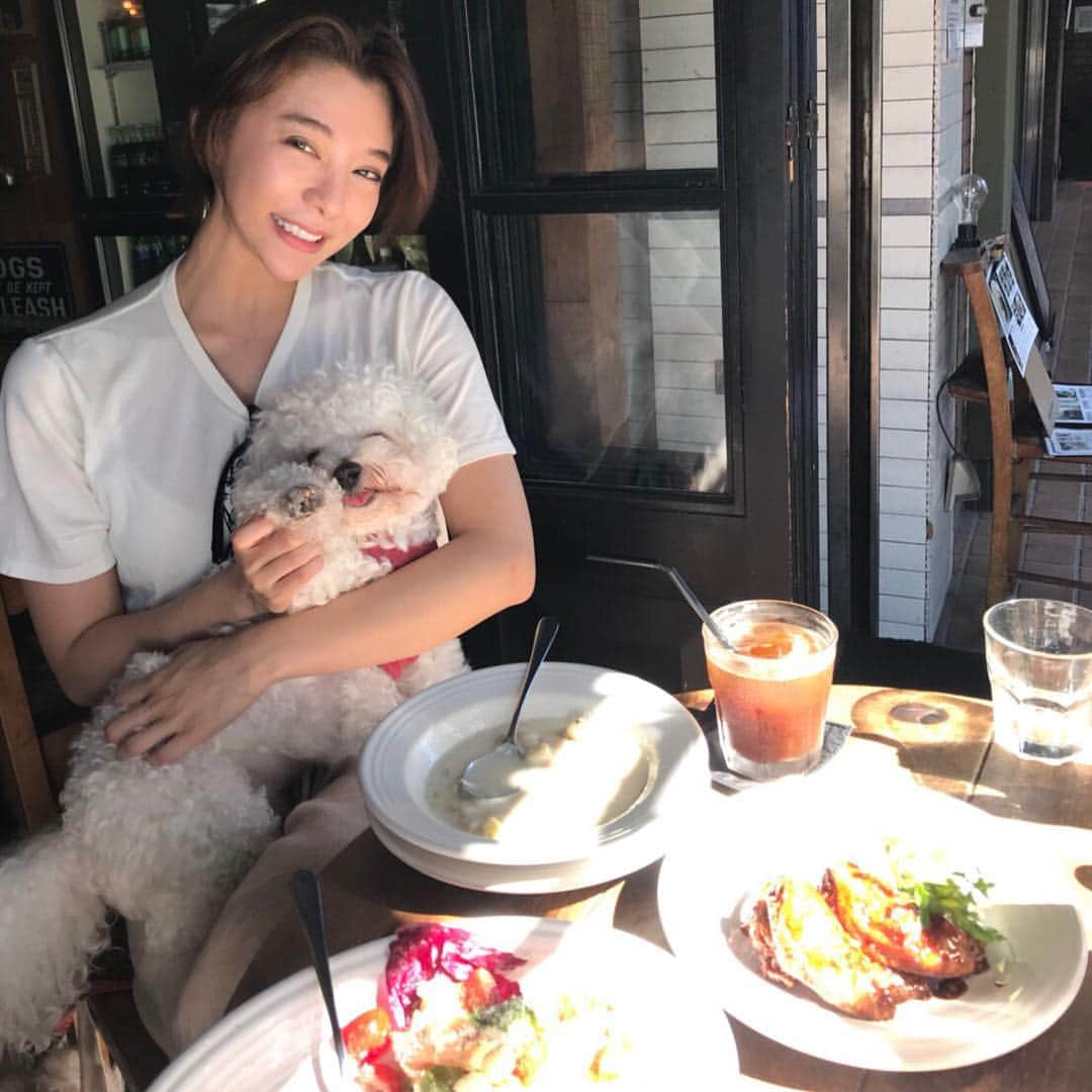 濱野りれさんのインスタグラム写真 - (濱野りれInstagram)「Hi July🐕💞 . #branch#sunday#sundaybrunch#caffe#caffetime#withdog#bichon#bichonfrise#dog#dogstagram#instagramjapan#ビションフリーゼ#わんちゃん#わんことお出かけ#広尾」7月1日 14時52分 - riregram