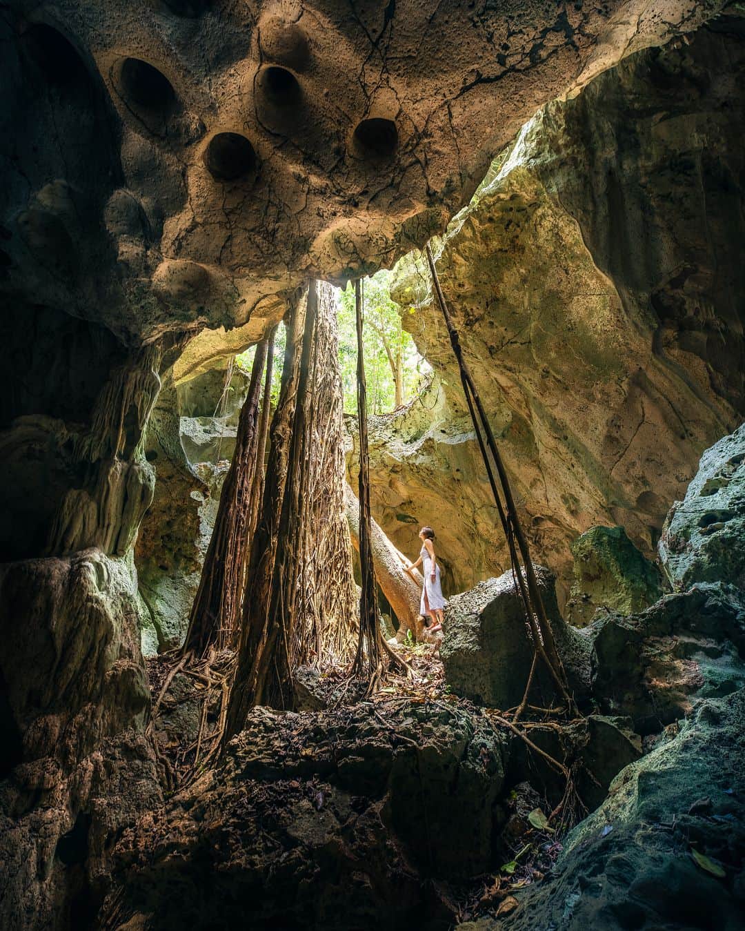 Cole Riseのインスタグラム：「followed these roots another 40 feet down to a crystal-clear underground lake, filled with brackish water and little unidentified creatures. jamaica is rad. #feelthevibe」
