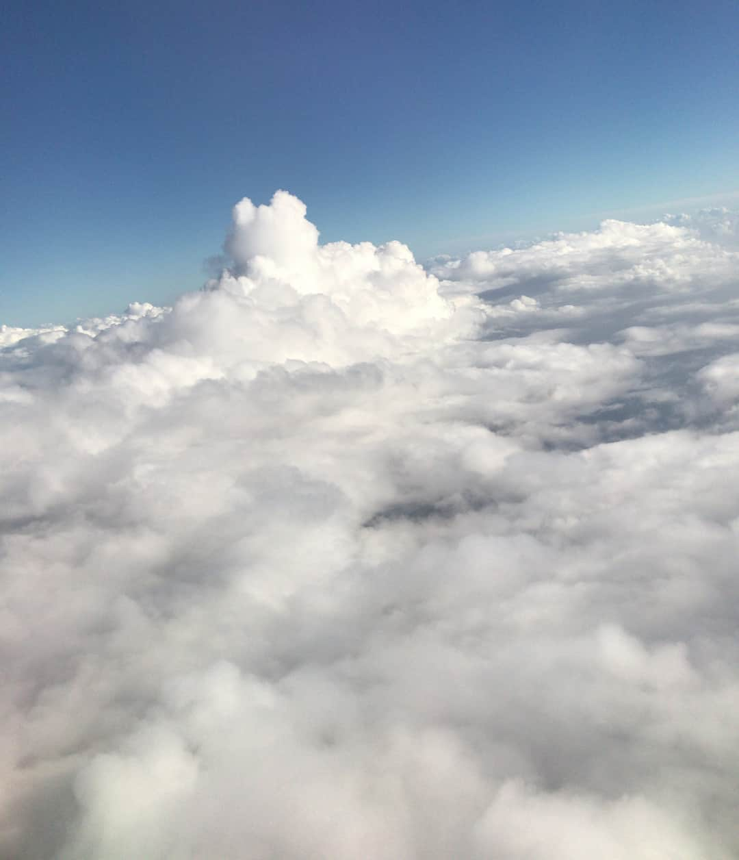 最上もがさんのインスタグラム写真 - (最上もがInstagram)「きのうみた雲がくまみたいだった🐻」7月2日 14時00分 - mogatanpe