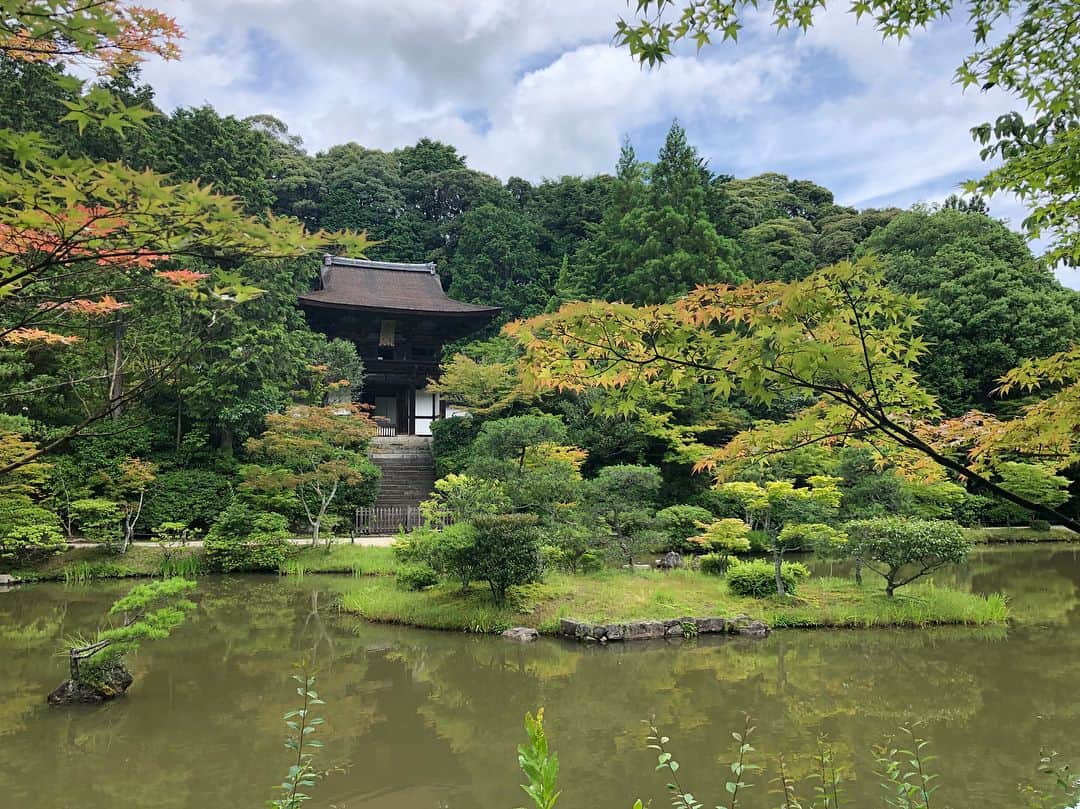内田敦子さんのインスタグラム写真 - (内田敦子Instagram)「﻿ ﻿ 奈良へひとり旅に行ってきました。﻿﻿ ﻿﻿ 運慶作の国宝﻿﻿ 大日如来像を観てきました。﻿﻿ ﻿﻿ 神々しかった…🙏✨﻿﻿ ﻿﻿ 京都は何度も行ってるけど、﻿﻿ 奈良は修学旅行で立ち寄って以来。﻿﻿ ﻿﻿ 奈良駅から離れると﻿ 田んぼが広がっていて﻿ 緑が多くて、﻿﻿ なんだかものすごく癒されました。﻿﻿ ﻿﻿ 奈良公園はびっくりするほど広かった！﻿ あと、鹿が予想以上に多かった🦌笑﻿ ﻿ 帰りの新幹線では大仏プリンを食べ、﻿﻿ お家では柿の葉寿司を食べました。﻿﻿ ﻿﻿ 久しぶりのひとり旅。浄化された。﻿ ﻿ #奈良 #奈良観光 #円成寺 #大日如来像 #運慶 #国宝 #奈良公園 #鹿 #春日大社 #大仏プリン #柿の葉寿司 #ひとり旅」7月2日 9時33分 - atsuko_uchida1205