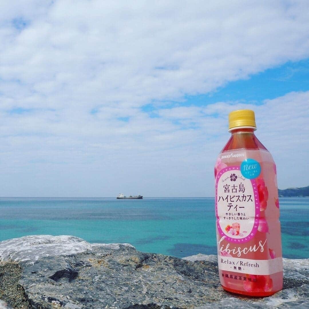 旅茶列島byポッカサッポロさんのインスタグラム写真 - (旅茶列島byポッカサッポロInstagram)「旅茶列島に「宮古島ハイビスカスティー」が仲間入りしました♪ . キャップをあけた瞬間、ハイビスカスの香りが”ふわっ”と。 沖縄県宮古島産ハイビスカスを使用した、緑茶ベースですっきりとした味わい、夏にぴったりのリラックス/リフレッシュティーです! . 宮古島の真っ青な海にもよく映える可愛らしいピンクのパッケージが目印です! 見つけたらぜひ、お手にとってみてくださいね♪ . #旅茶列島 #ポッカサッポロ #pokkasapporo #新発売 #宮古島ハイビスカスティー #宮古島 #miyakojima #沖縄 #okinawa #旅 #trip #ハイビスカス #summer #旅行のお供 #旅女 #女子旅 #旅好きな人と繋がりたい #宮古島ブルー #海がすき #夏の思い出 #タビジョ #波 #igで繋がる空 #大地とコネクト」7月2日 21時12分 - tochitocraft_official