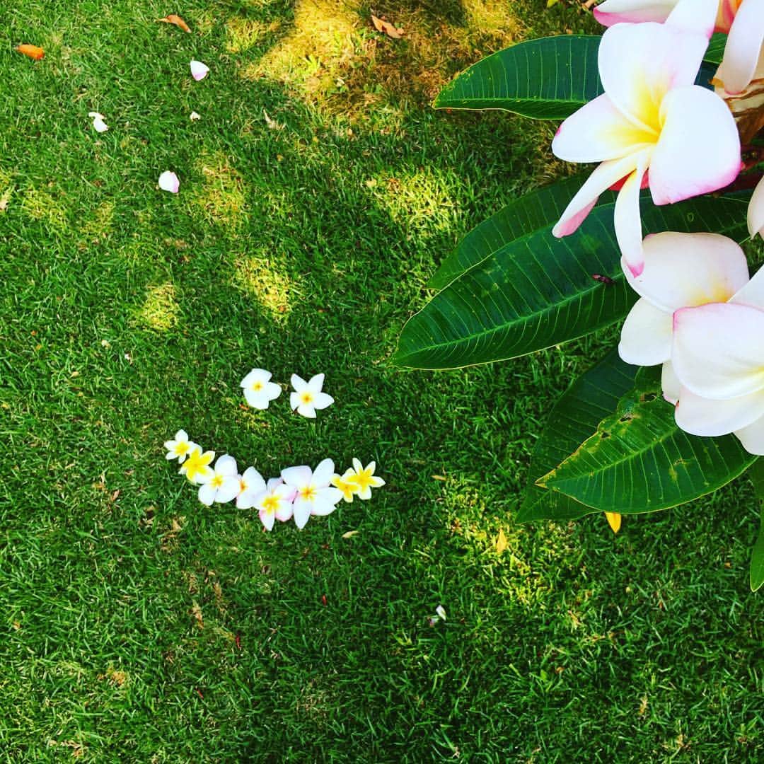 工藤まやさんのインスタグラム写真 - (工藤まやInstagram)「Backyard Bounty🌺日本頑張ってますね〜⚽️ #ハワイ#aloha#manoa#backyard#hawaii#hilife」7月3日 4時41分 - mayahawaii325