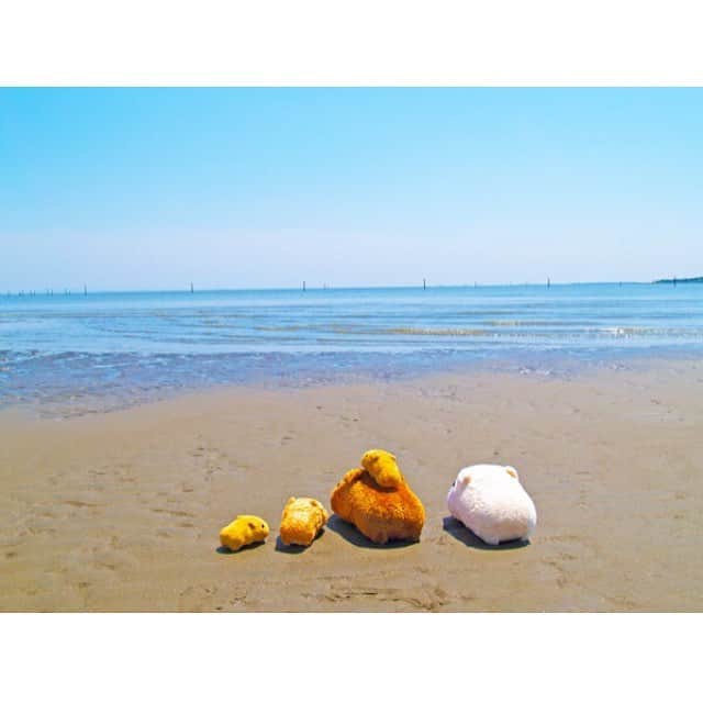 カピバラさんのインスタグラム：「ざざーん… . #カピバラさん #カピバラさんと一緒 #水豚君 #KAPIBARASAN #波の日 #海 #夏」