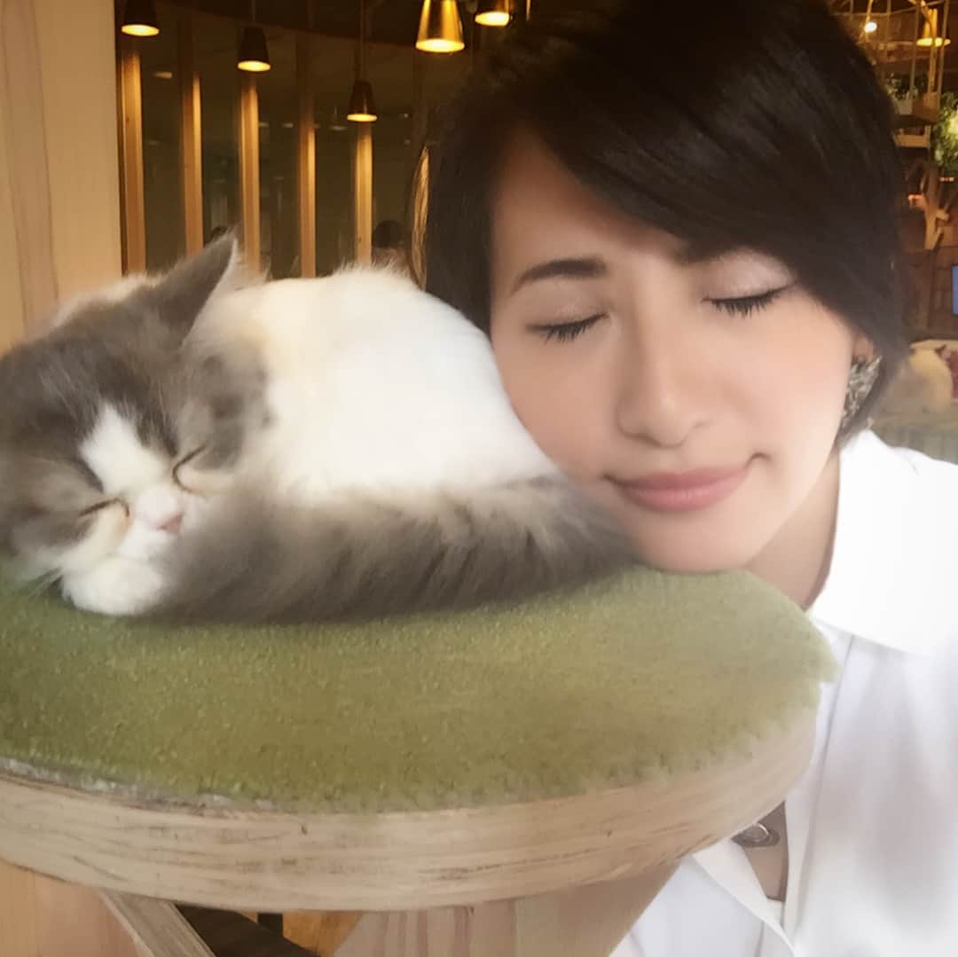 矢部あやのインスタグラム：「この前あきのと猫カフェ行ってきた♡ 猫に囲まれて死にたい。 ・ #猫カフェ」