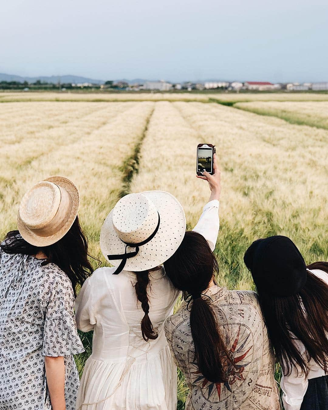 keiichiro fujitaのインスタグラム：「🌾🌾🌾🌾 #shotoniphone」