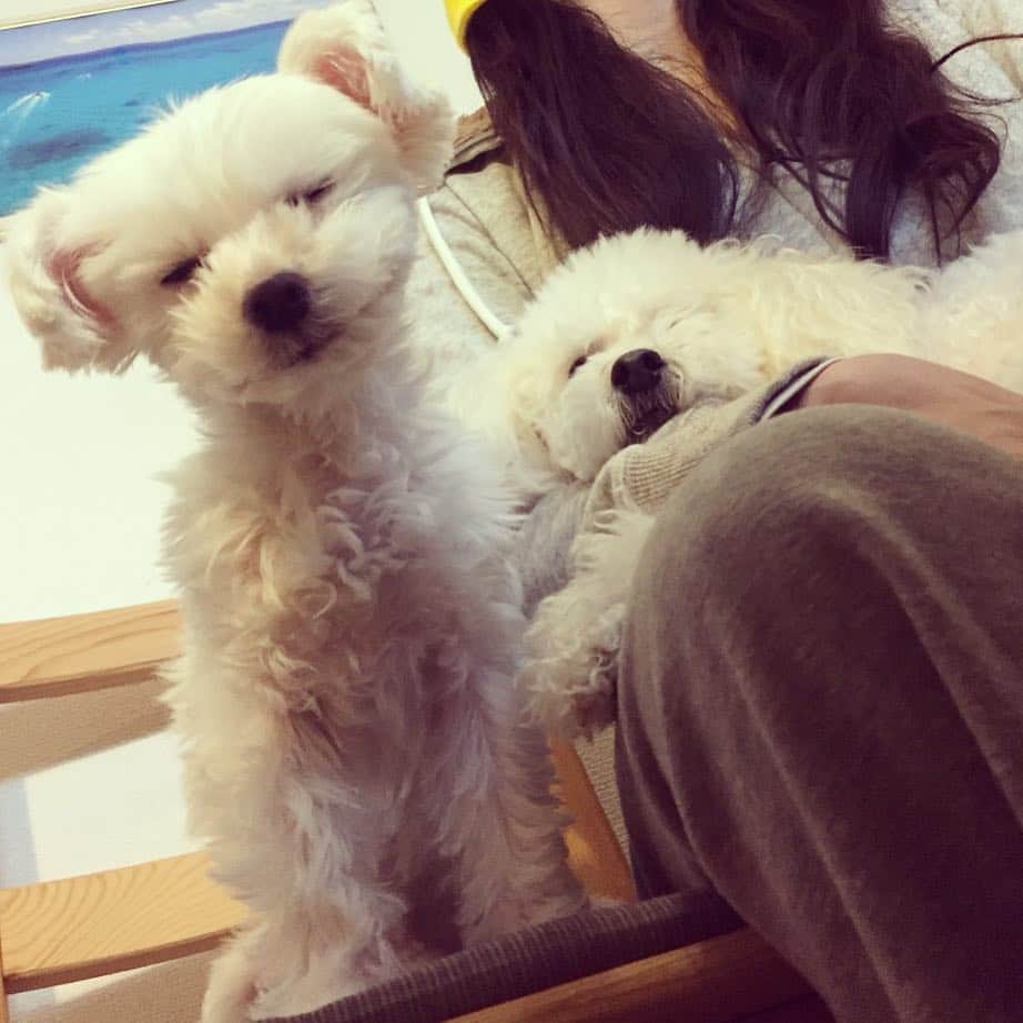 阿部桃子のインスタグラム