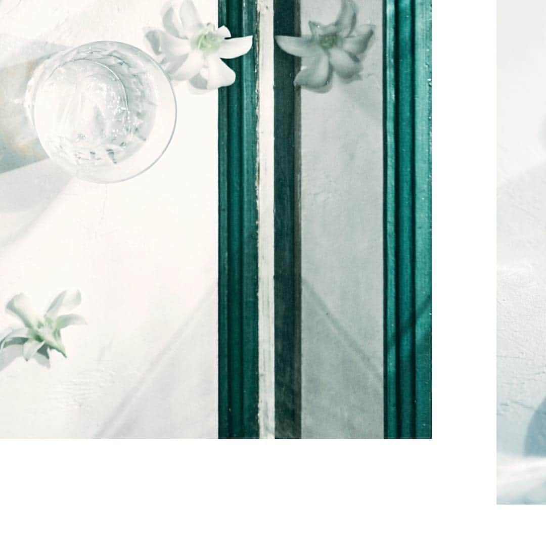 FULLERY BOTANICAL（フレリーボタニカル）のインスタグラム：「Softener No_00 "citrus & tiare flower" -Summer limited edition- ⠀⠀ Visual Identity. ⠀⠀ ▫︎▫︎▫︎ ▫︎▫︎▫︎ ▫︎▪︎▫︎ ⠀⠀ #FULLERY #BOTANICAL #fullerybotanical #フレリー #フレリーボタニカル #ボタニカル柔軟剤 @fullery_botanical」