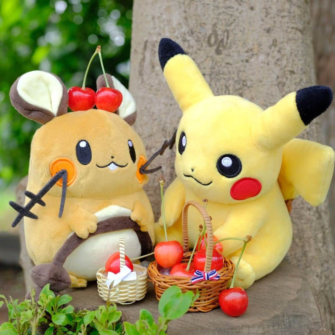 ピカチュウ公式Instagramのインスタグラム